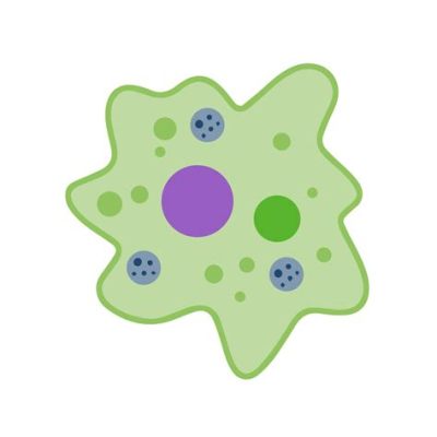 Uranium-Eating Amoeba: Discover the Fascinating World of These Microscopic Unicellular Organisms with Incredible Metabolic Capabilities!