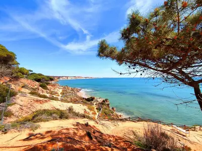 a view of the ocean from a hill with a tree at AlbufeiraOrada Garden by Be Cherish in Albufeira