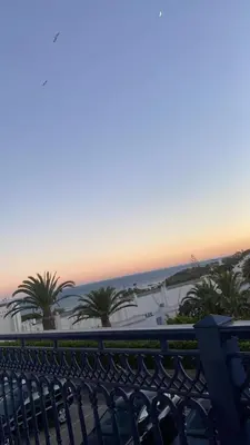 a view of the beach from a balcony with palm trees at Bicos Beach Apartments By Albufeira Rental in Albufeira