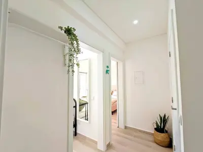 a white hallway with a plant on the wall at Lovely Terrace Apart. Downtown in Faro
