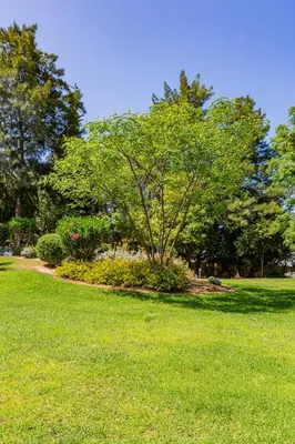 a park with a tree in the middle of a field at Casa Colina 2 in Albufeira