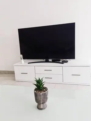 a tv on a white entertainment center with a potted plant at Marina Holiday House in Quarteira