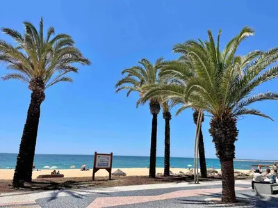 a group of palm trees on a beach with the ocean at Luxury Modern Beach Apartment in Quarteira