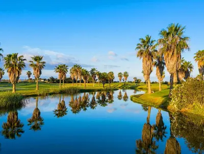 a pond with palm trees on a golf course at Outstanding Condo- Beach, Pool & Golf by BeCherish in Galé