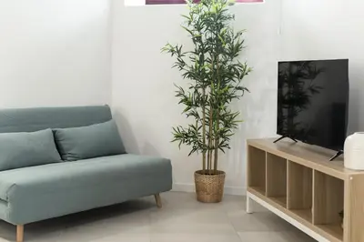 a living room with a couch and a plant at Madalena Village 3 - City centre by HD PROPERTIES in Faro