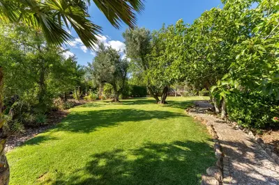 a park with green grass and trees on a sunny day at Villa Algarve 4 Ensuite Bedrooms, Private Swimming Pool, Beautiful Gardens with water features and natural Bio Pool in Almancil