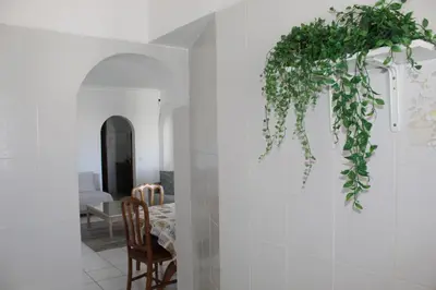 a room with a plant hanging on the wall at Casa Oura Sea Living in Albufeira