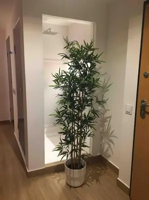 a potted plant sitting on the floor in a hallway at Great sea view apartment, near the beach, with AC and pools in Albufeira