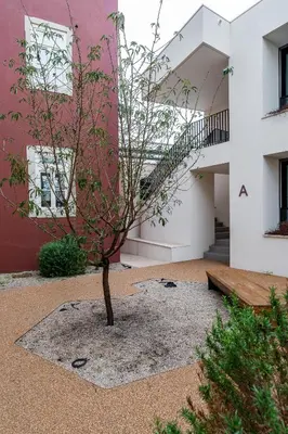 a tree in the courtyard of a building at Compromisso 25 in Faro