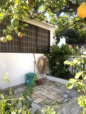 a window of a house with a basket on a patio at Casa do Limoeiro in Albufeira