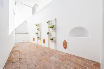 an empty hallway with potted plants on the wall at LODO Suites Ala - Studio mezanino by HD in Faro