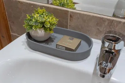 a tray with a plant on top of a counter at Privilege Apartment Aliança da Silva in the heart of Faro in Faro
