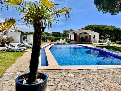 a palm tree in a pot next to a swimming pool at SOLAR DO MONTE 4 in Albufeira