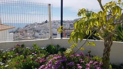 a view of a city from a garden with flowers at T3 Centro de Albufeira com piscina in Albufeira