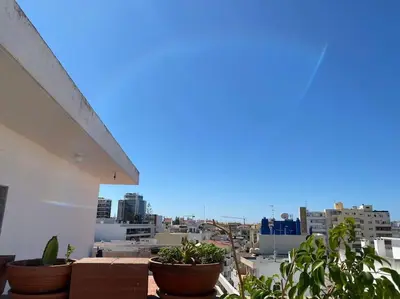a view of a city from a balcony with plants at Superstar terrace in Faro