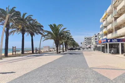 a street with palm trees next to a beach at Vilamoura-Quarteira Beaches Apt with pool and sea view in Quarteira