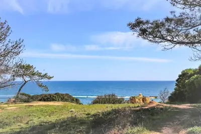 a view of the ocean from a hill with trees at Casa Barreto in Albufeira