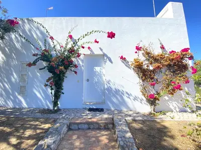 a white building with flowers in front of a door at Albufeira Quinta da Balaia Charming by Homing in Albufeira