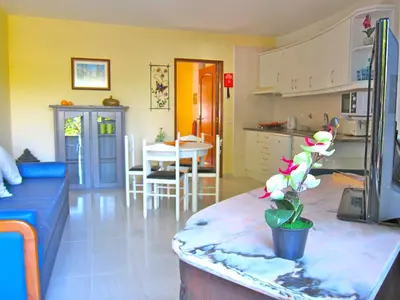 a kitchen and living room with a table with a plant on a counter at CH 8, 11 e 12 - Casa da Horta 3 x T 1 Apartments Up To 12 Guests in Olhos de Água