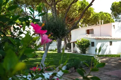a yard with a white house and pink flowers at Açoteias 203 in Albufeira