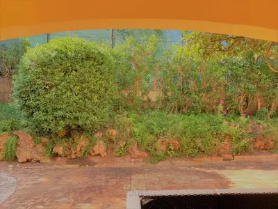 a painting of a bush in a garden at Fashion Villa in Vilamoura with Private Pool in Quarteira