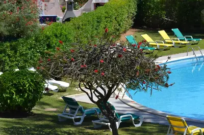 a tree with red fruit next to a swimming pool at Apartamentos Mar-Sol Villas in Vilamoura
