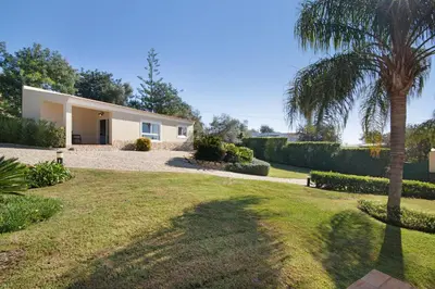 a house with a palm tree in front of a yard at Casa no Campo com vista mar in Loulé