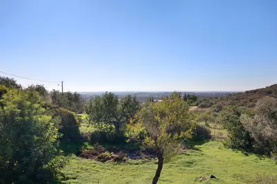 a view of a field with a tree in the foreground at Casa no Campo com vista mar in Loulé