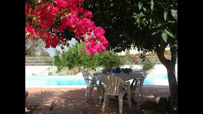 a white couch with pillows in a room at Lugar das Andorinhas in Olhos de Água