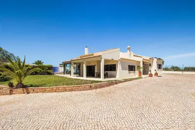 a white house with a palm tree in front of it at Loendros, Calma Moradia com Piscina Privada, Guia in Guia