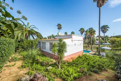 a house with a palm tree in a yard at Casa Lorena in Guia