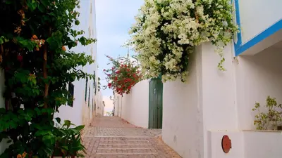 a narrow alley with flowers on the side of a building at 3 min walking to the beach & Old Town by Algarve Dream Holidays in Albufeira