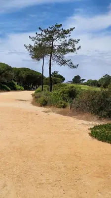 a dirt road with a tree on the side of it at Domek v srdci Fara in Faro