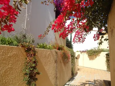 a walkway with red flowers on a wall at V2 Vilar Jardim Piscina wifi in Quarteira