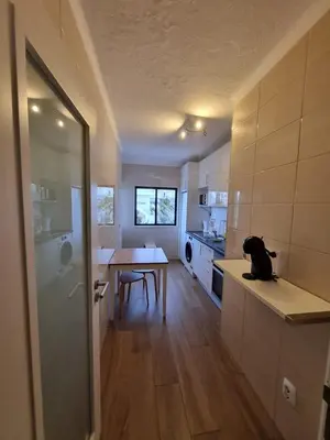 a kitchen with a dog sitting on the counter at The Albufeira Concierge - Prime Beach Center L3 in Albufeira