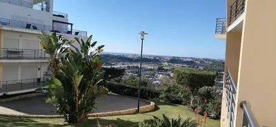 a view from the balcony of a building with a palm tree at Encosta Da Orada in Albufeira