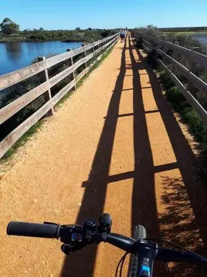 a view of the shadows of a bike on a bridge at Ria Formosa Pineview in Faro