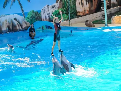 a woman standing on two dolphins in the water at Luxury Holiday Villa Pescadinha near Beach, Albufeira in Albufeira