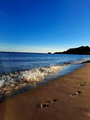 a view of the ocean from a rocky beach at Casa Maria in Albufeira