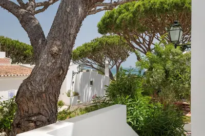 a tree in front of a white house with trees at Villa Leeroy in Almancil