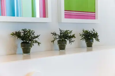 three potted plants sitting on a shelf under paintings at Apartment - Vilamoura Pine By Dalma Portuguesa in Quarteira