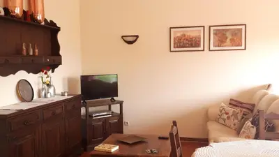 a living room with a couch and a tv at Marina Vila Apartment with Pool in Albufeira