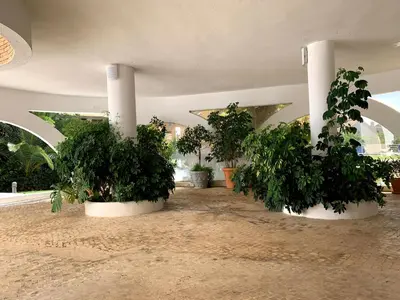 a room with three potted plants in a building at Discovery Apartment Vilamoura in Vilamoura
