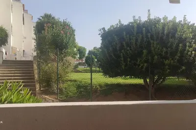 a tree in the middle of a park with stairs at Cadete house in Albufeira
