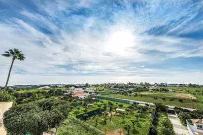 an overhead view of a park with a palm tree at Casa Miranda in Albufeira