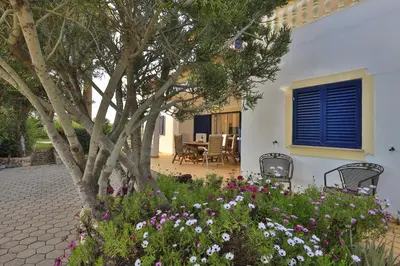 a house with a tree and flowers in the yard at Casa Neel in Boliqueime