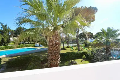 a palm tree next to a swimming pool at Fig Villa- CleverDetails, Sleep 8, Pool, Children Playground, Ténis court in Vilamoura