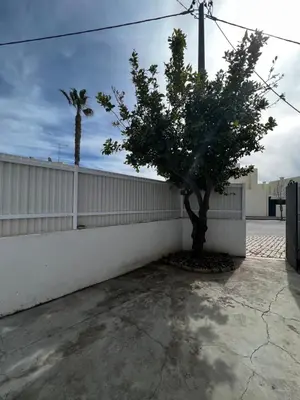 a tree sitting next to a white wall with a fence at O Limoeiro - 154949/AL in Faro
