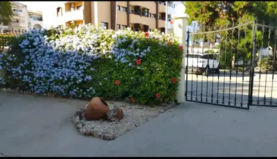 a bush of flowers next to a gate at Casa Kari in Albufeira