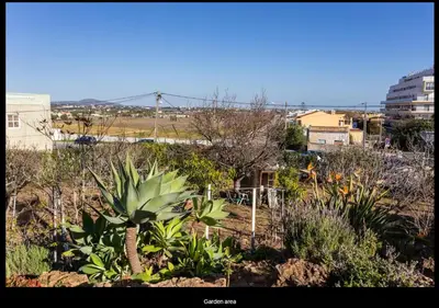 a view of a garden with plants and trees at Blife Moustachya private rooms in Faro